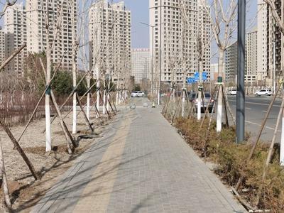 新城区支八街 (2)