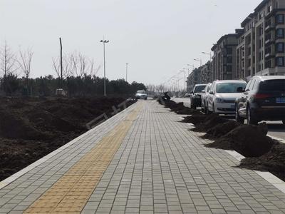 新城区规划七路